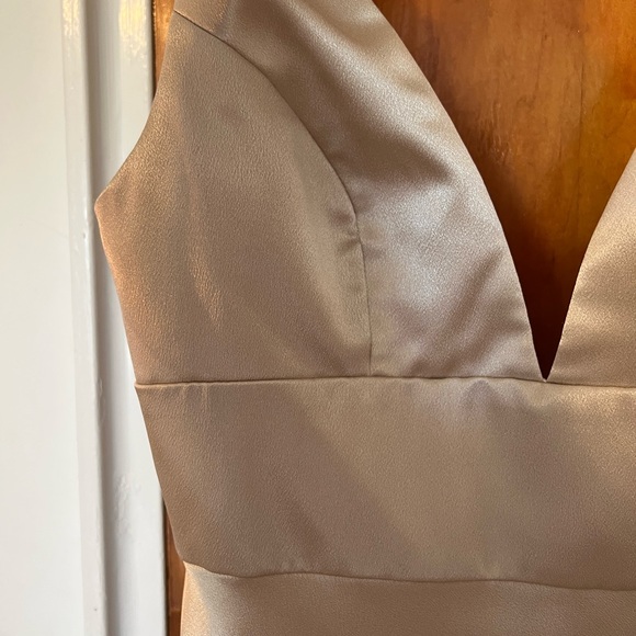 Jenny Yoo collection Bridesmaid Dress - Picture 5 of 6